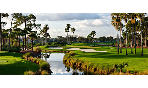 Champion.png Champion.png